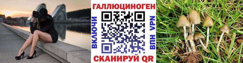 Псилоцибиновые грибы мицелий  Пенза 