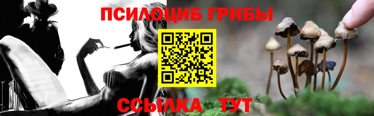 Галлюциногенные грибы MAGIC MUSHROOMS Пенза
